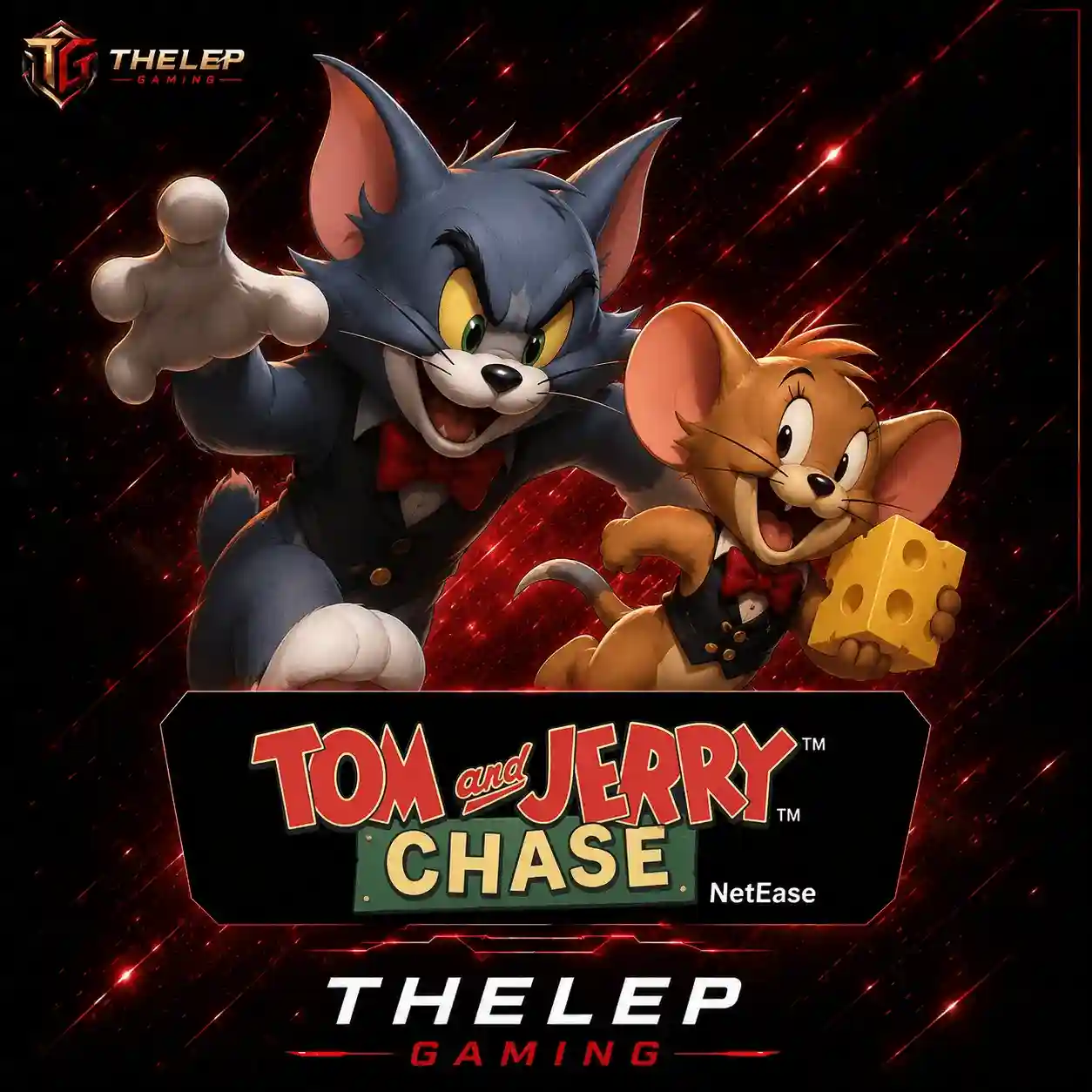 Tom and Jerry : Chase